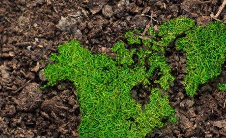 土壤修复防治法的利好政策背景下土壤修复行业的发展预期