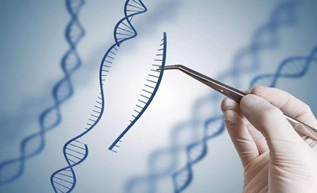 揭开造就“基因婴儿”CRISPR/Cas9技术的神秘面纱