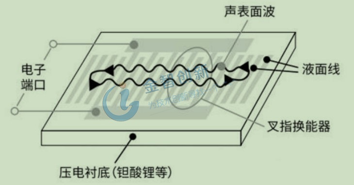 SAW结构示意图