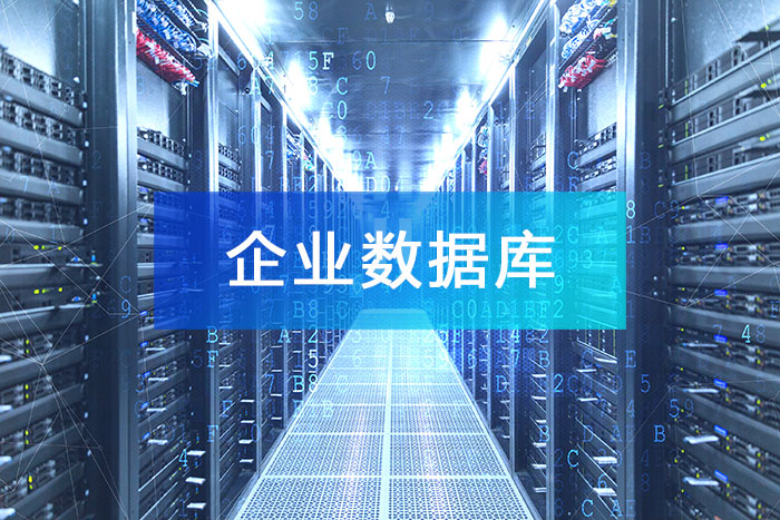企业数据库