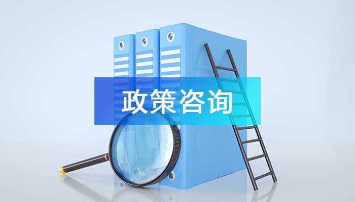 政策咨询