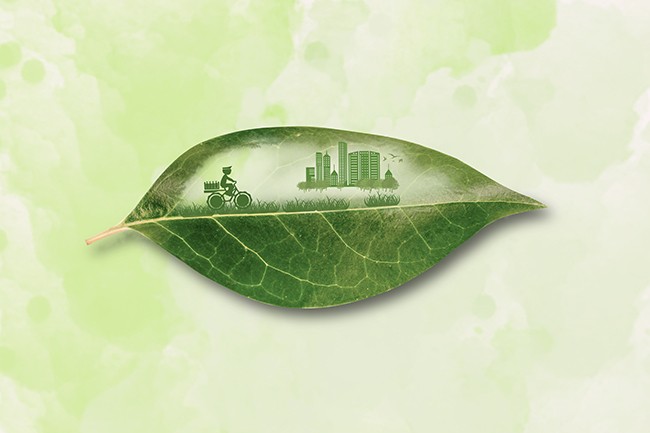 我国绿色低碳产业蓬勃发展，绿色用能成为新风尚！