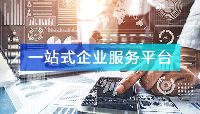 “一站式企业服务平台”全景解析