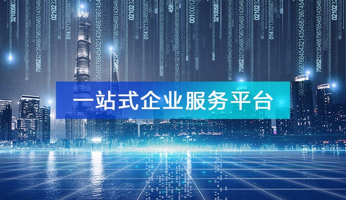 “一站式企业服务平台”的功能架构