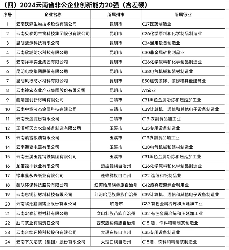 《2024云南省非公企业创新能力20强》完整榜单